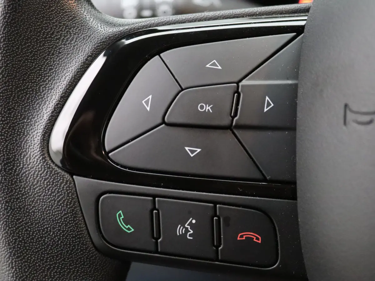 70pk Hybrid Pandina Apple Carplay/Android Auto | Airco