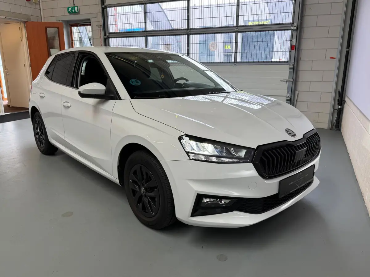 1.0 TSI Business Edition Automaat, Carplay, Cruise Control