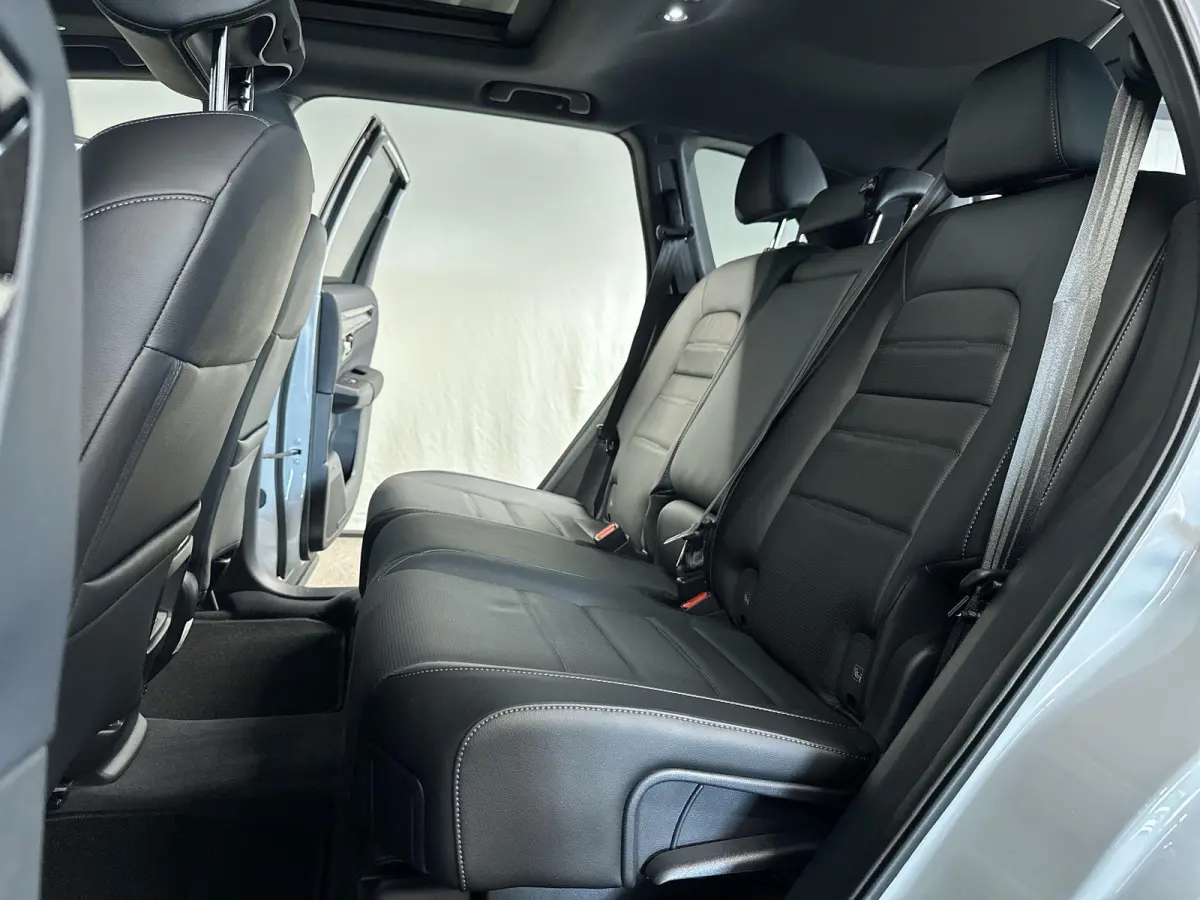 2.0 e:PHEV Advance Tech Automaat | Trekhaak | Leder | Pano | Bose | SOH 100%