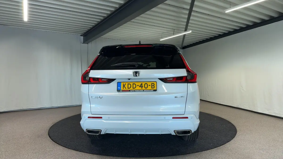 2.0 e:PHEV Advance Tech Automaat | Trekhaak | Leder | Pano | Bose | SOH 100%