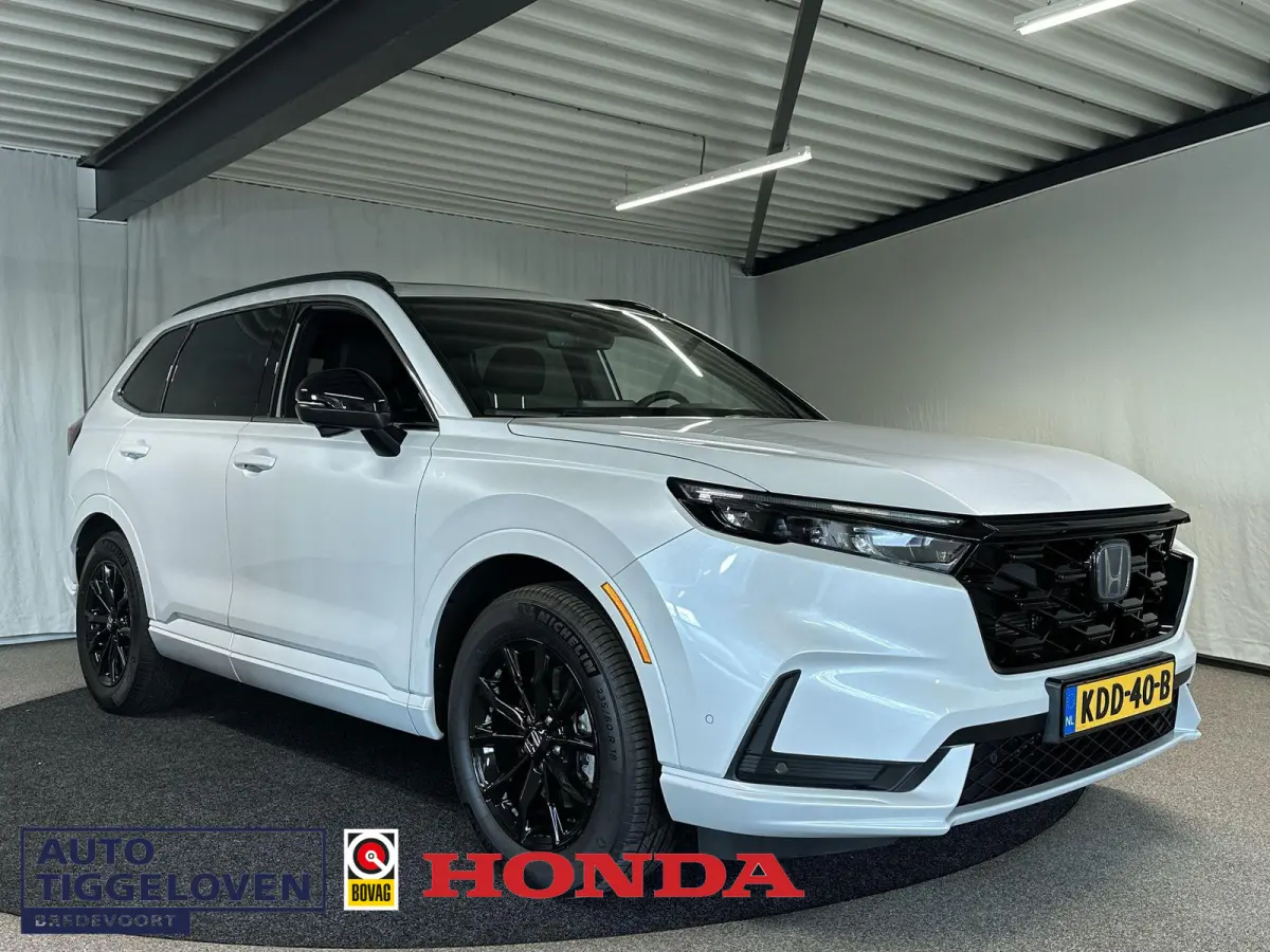2.0 e:PHEV Advance Tech Automaat | Trekhaak | Leder | Pano | Bose | SOH 100%