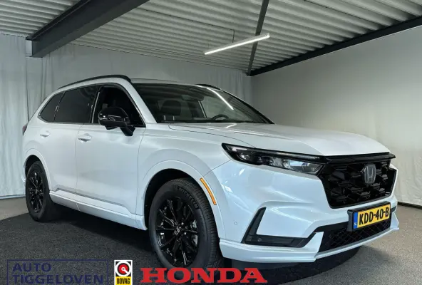 2.0 e:PHEV Advance Tech Automaat | Trekhaak | Leder | Pano | Bose | SOH 100%