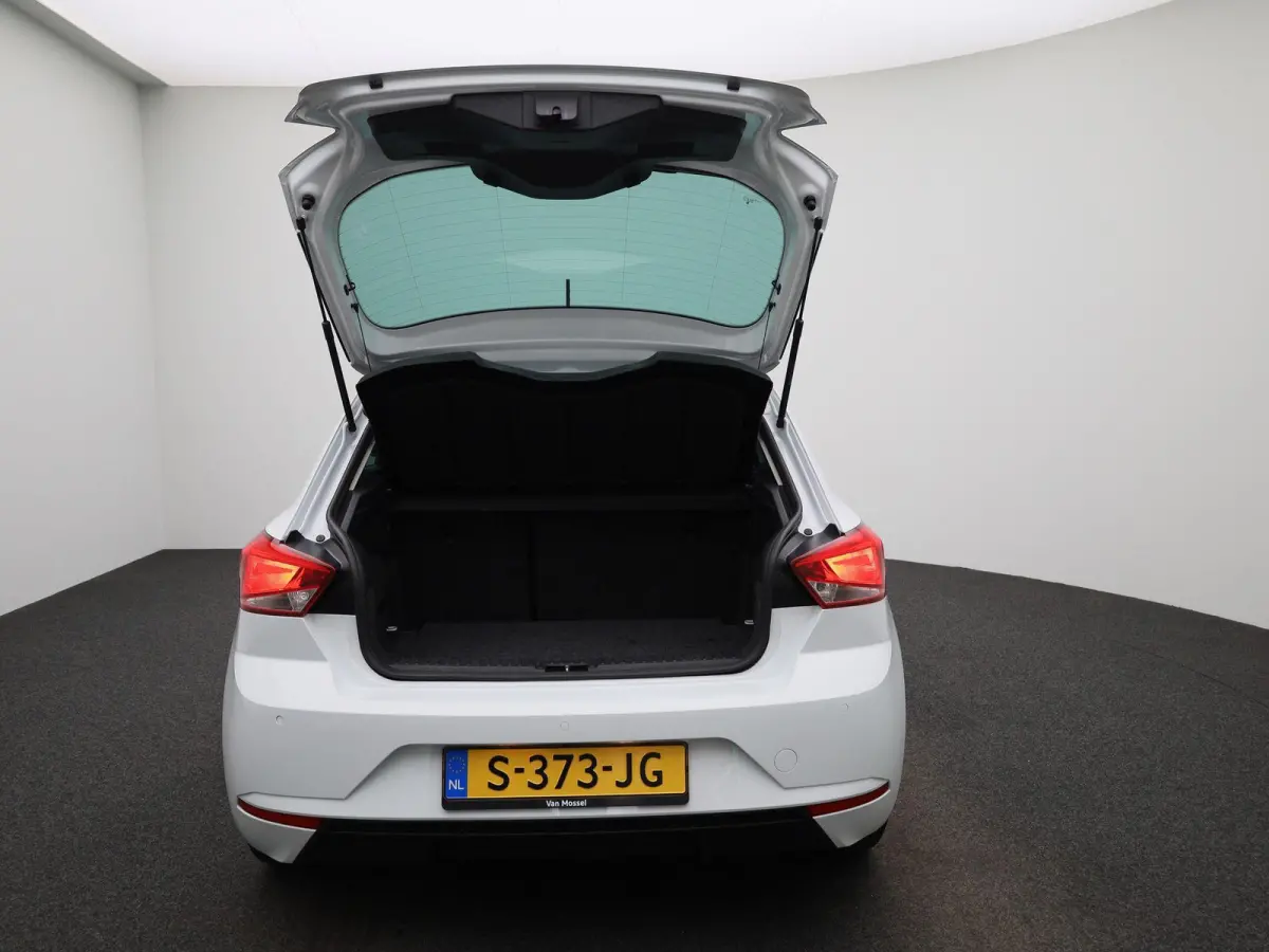 1.0 EcoTSI Style Business Intense | DIGITAAL DASHBOARD | CLIMATE CONTROL | STOELVERWARMING | LMV | PARKEERSENSOREN | APPLE CARPLAY |