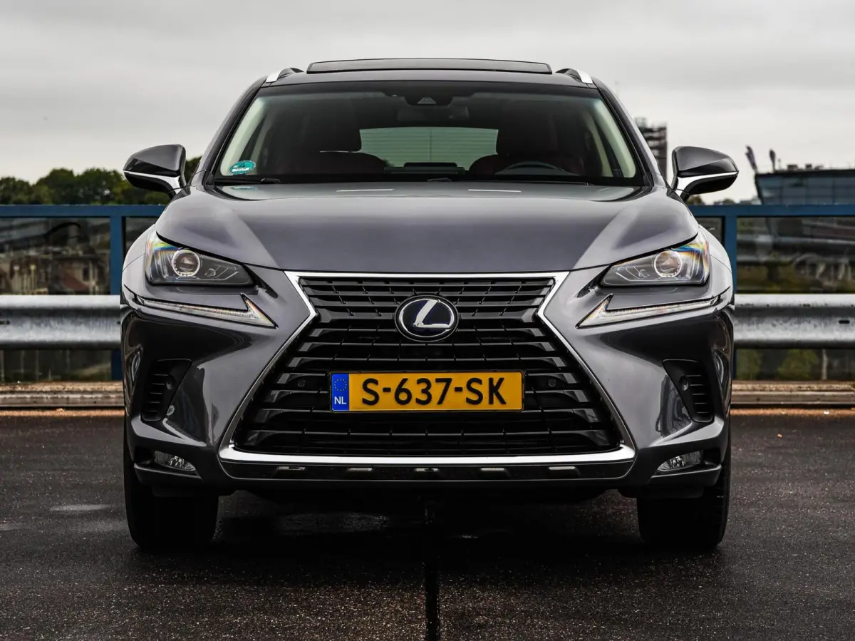 300h AWD Luxury Line | Schuifdak | Leder | Trekhaak | Camera | ACC | LED | Stoelverwarming | 18" | Dealeronderhouden