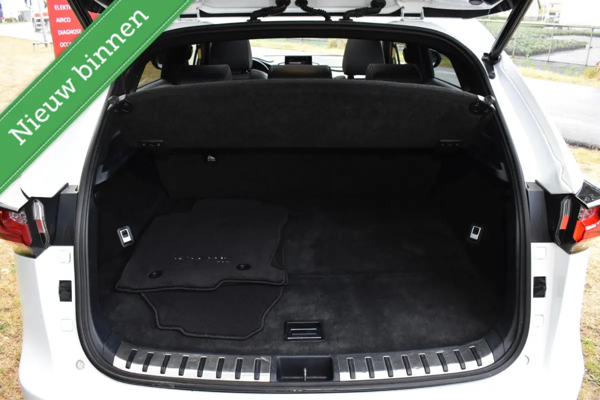 300h AWD F F SPORT 360º MARK LEVINSON/PANORAMADAK/LEDER/CAMERA/ETC.!