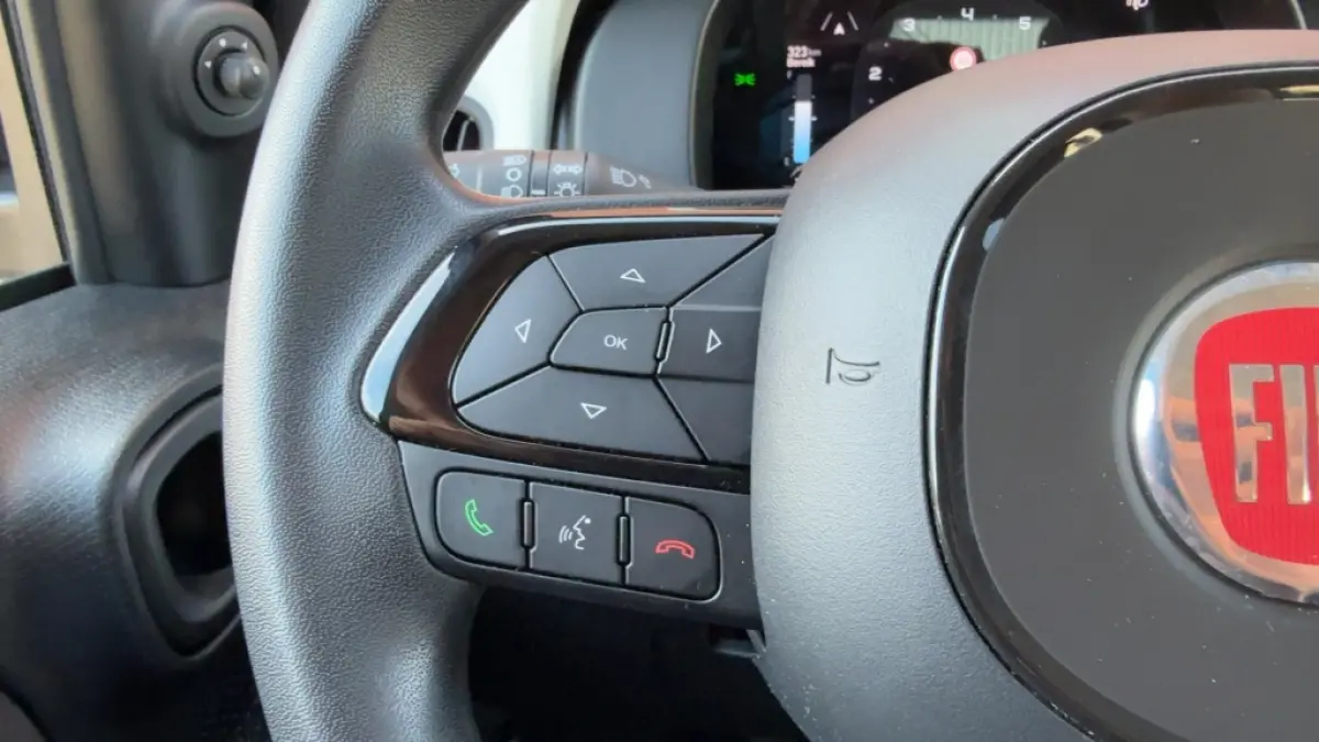 1.0 Hybrid Pandina Cross Hoge Zit Carplay LM-Velgen PDC