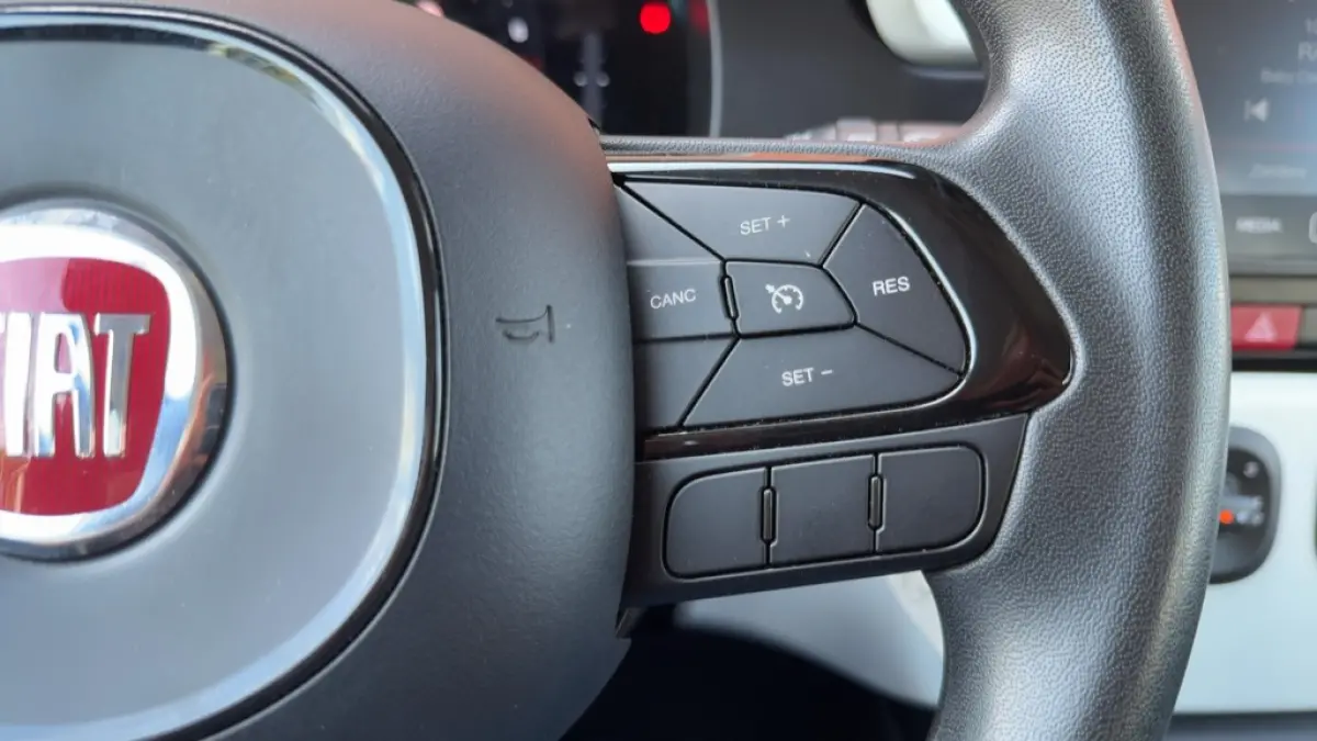 1.0 Hybrid Pandina Cross Hoge Zit Carplay LM-Velgen PDC