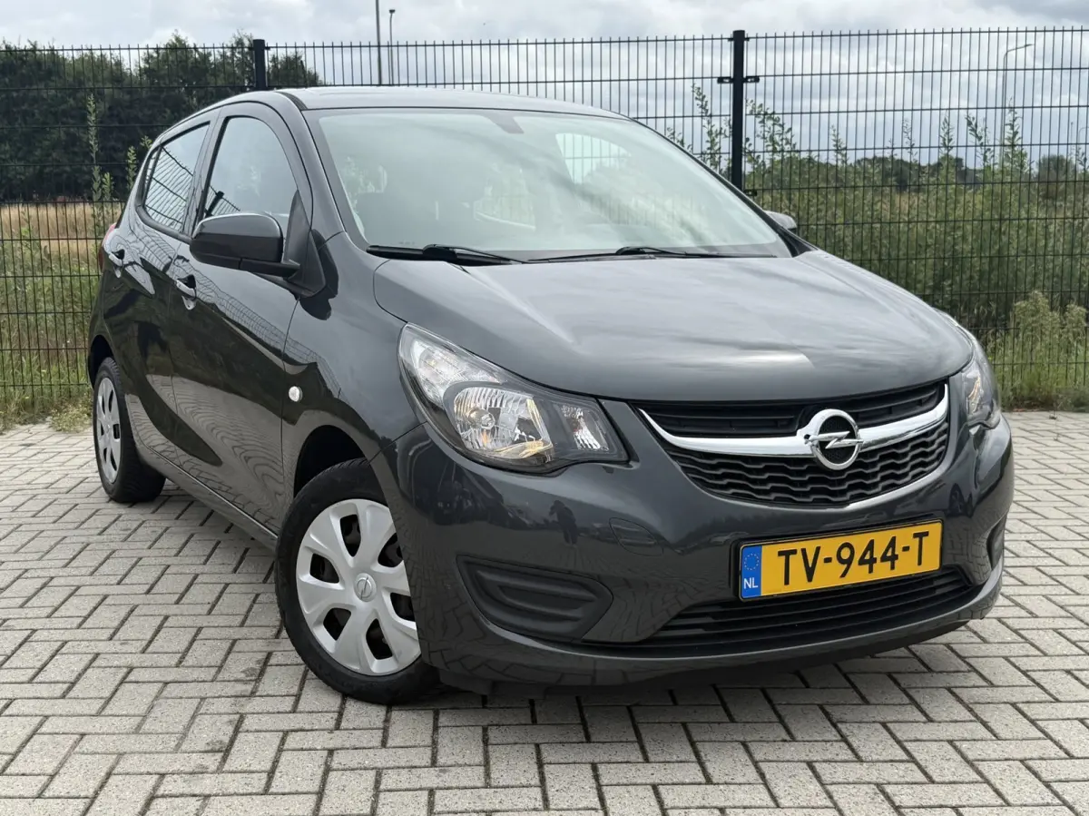 1.0 ecoFLEX Edition Cruise|Bluetooth|Radio | Airco |