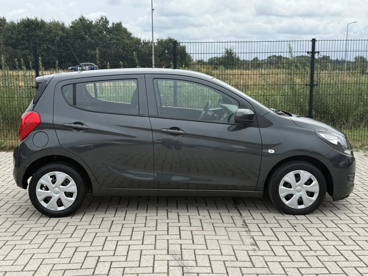 1.0 ecoFLEX Edition Cruise|Bluetooth|Radio | Airco |