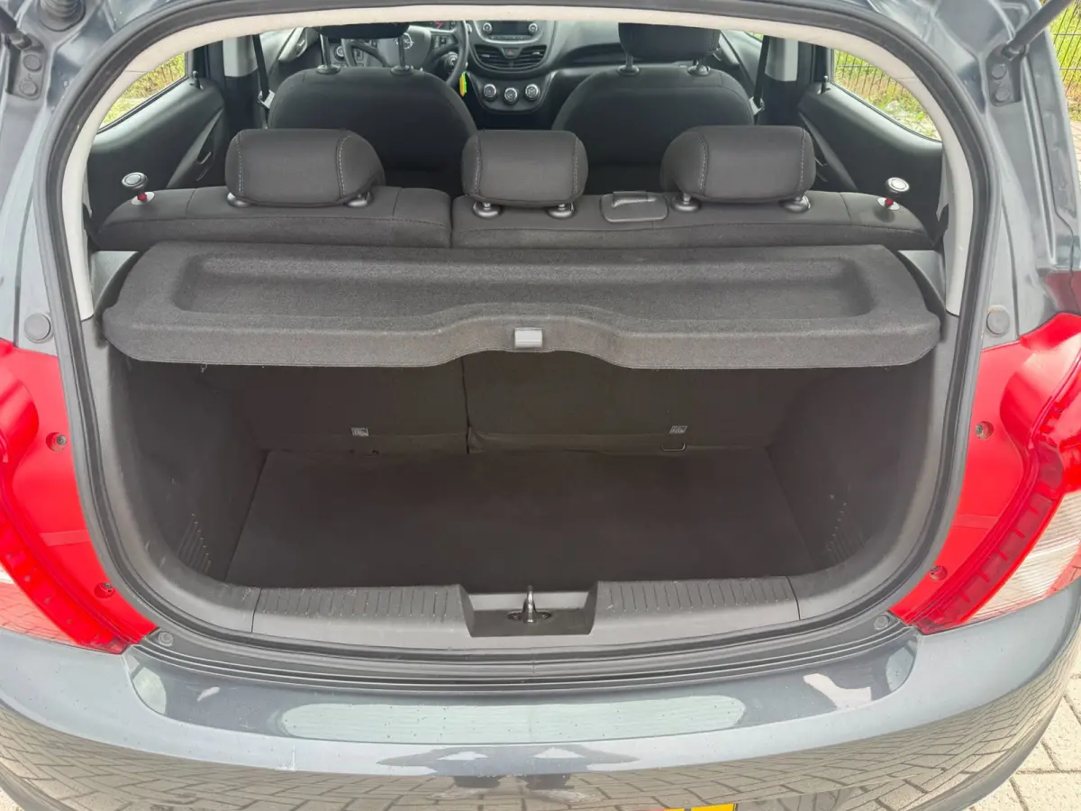 1.0 ecoFLEX Edition Cruise|Bluetooth|Radio | Airco |