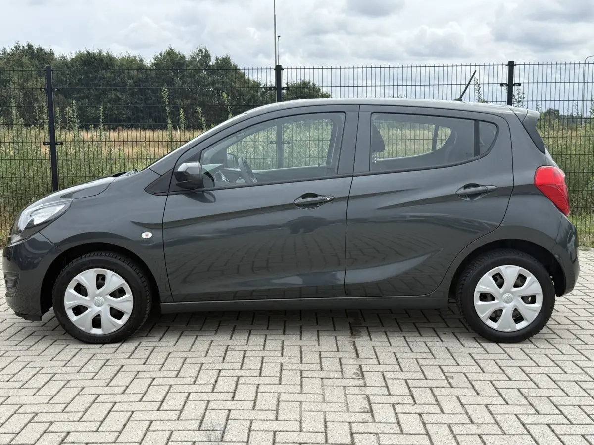 1.0 ecoFLEX Edition Cruise|Bluetooth|Radio | Airco |