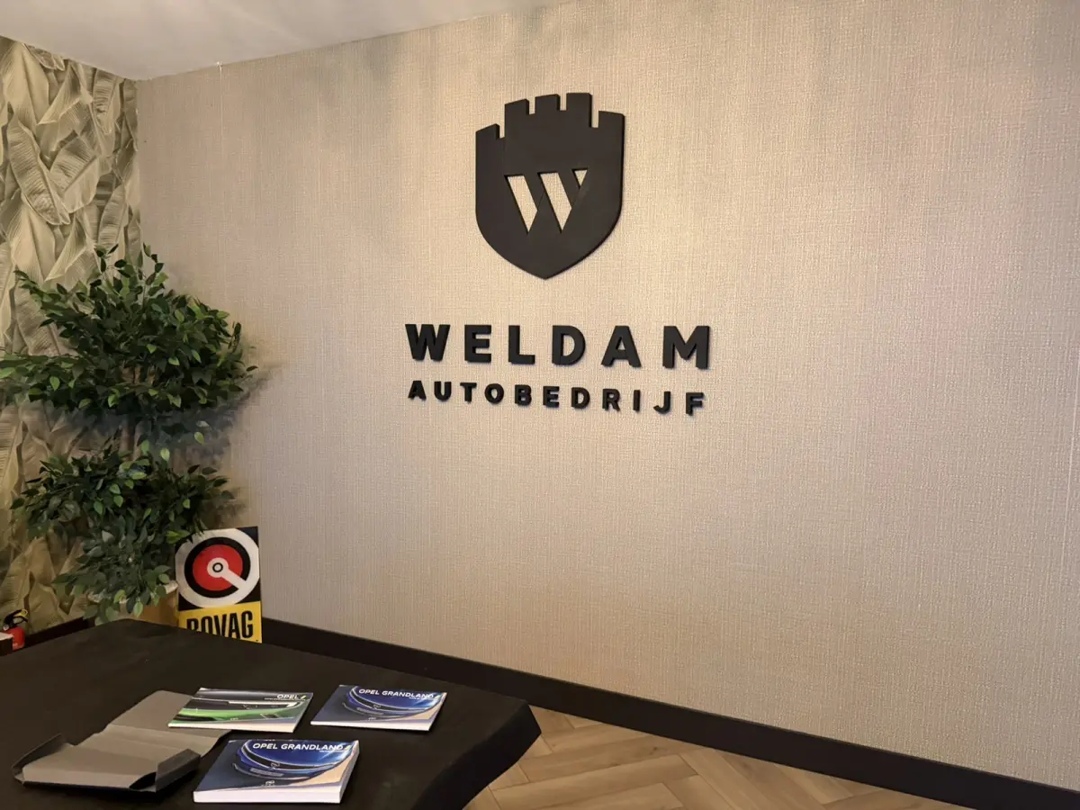 1.6 Turbo Plug-In Hybrid GS Line 224PK Bi-Color|ACC Autopilot|360°|Stoel+Stuurverwarming|Dodehoek|LED|Navi|Rijklaar