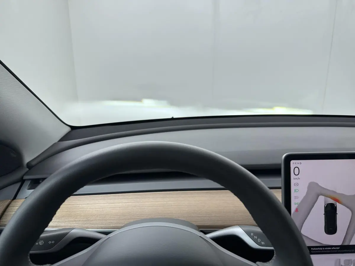Long Range AWD 75 kWh | Basic Autopilot | Panoramadak |