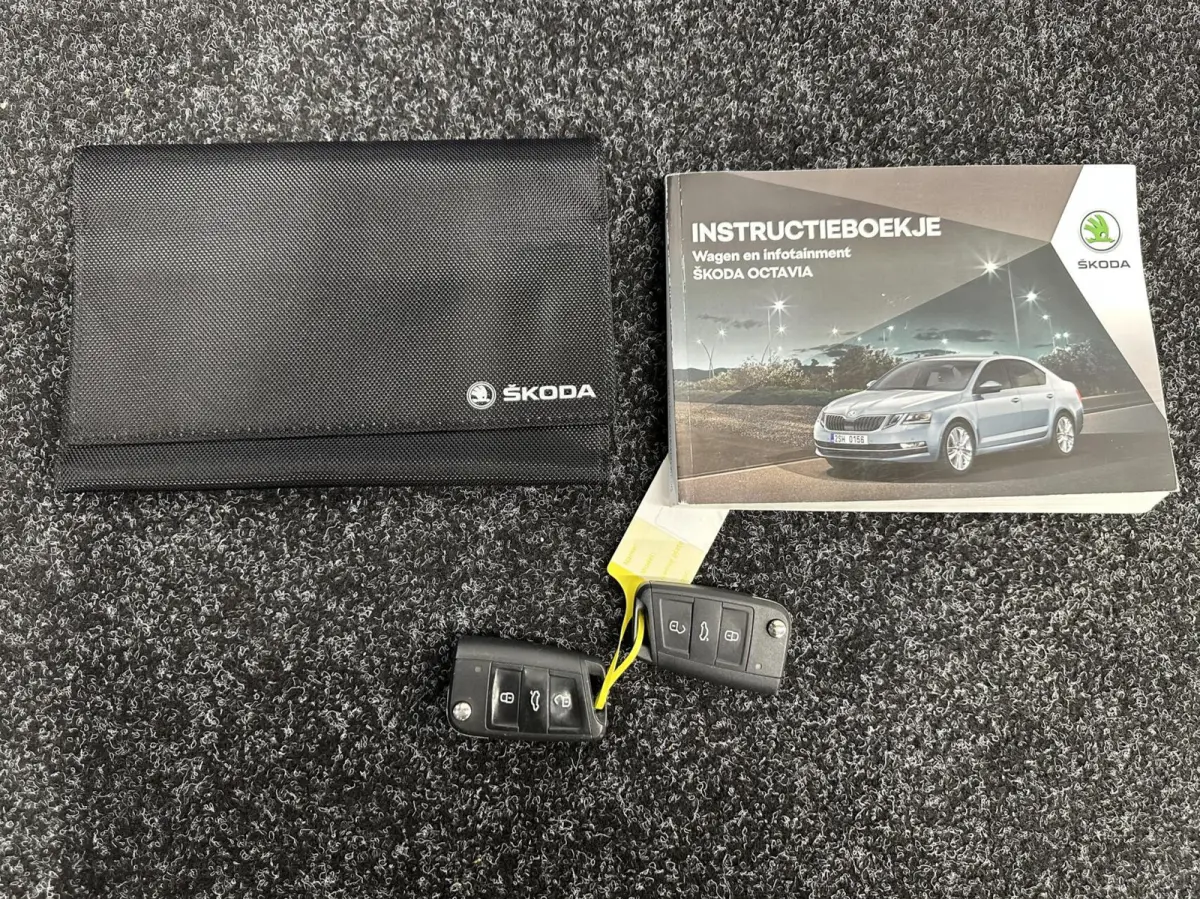 1.0 TSI Greentech Style Business NAVI CARPLAY CRUISE LM ECC.