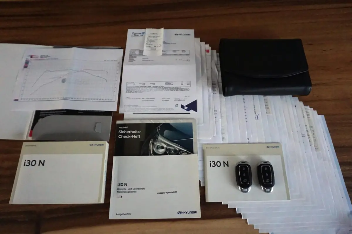 2.0 T-GDI N2 Performance Pano|Memory|vol|320PK