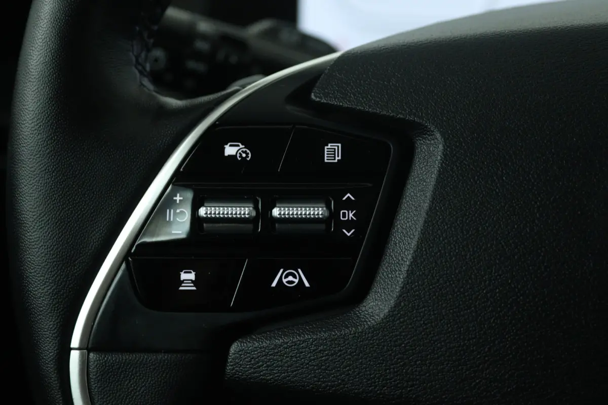 Plus Advanced 77.4 kWh SOH 100% (PANORAMADAK, STUUR-/STOELVERWARMING, SFEERVERLICHTING, MERIDIAN, EIGENAAR, MEMORY, AUTOPILOT)