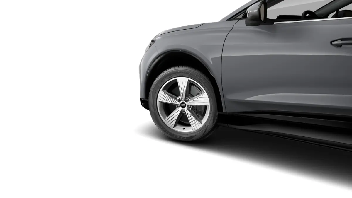 Edition | Achterklep, automatisch bedienbaar | Aluminium optiek in het interieur | Audi sound system