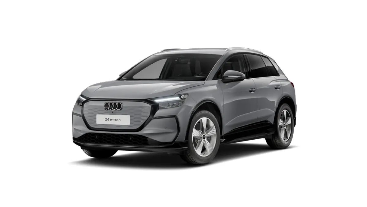 Edition | Achterklep, automatisch bedienbaar | Aluminium optiek in het interieur | Audi sound system