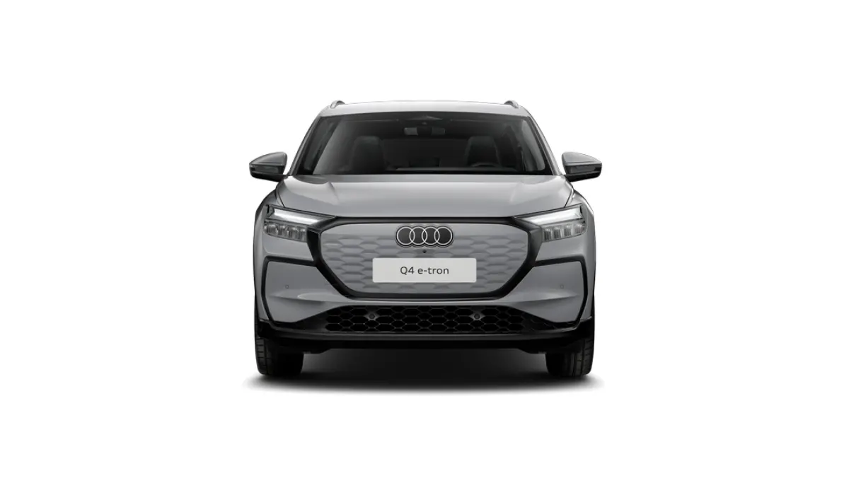 Edition | Achterklep, automatisch bedienbaar | Aluminium optiek in het interieur | Audi sound system