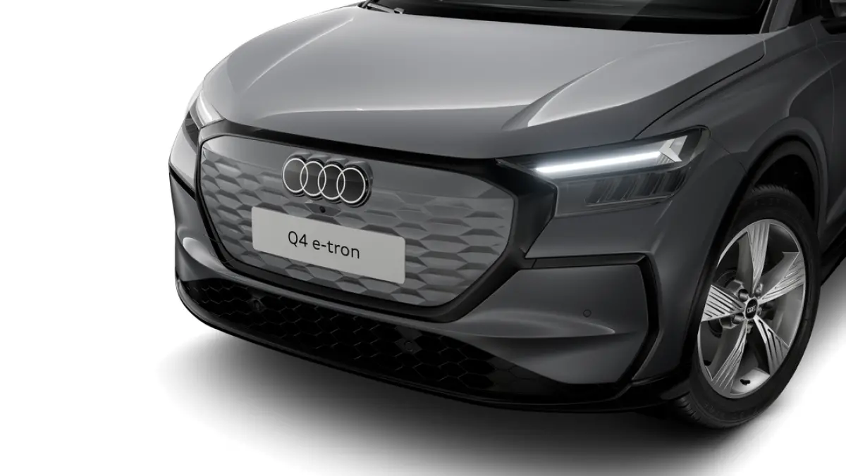 Edition | Achterklep, automatisch bedienbaar | Aluminium optiek in het interieur | Audi sound system