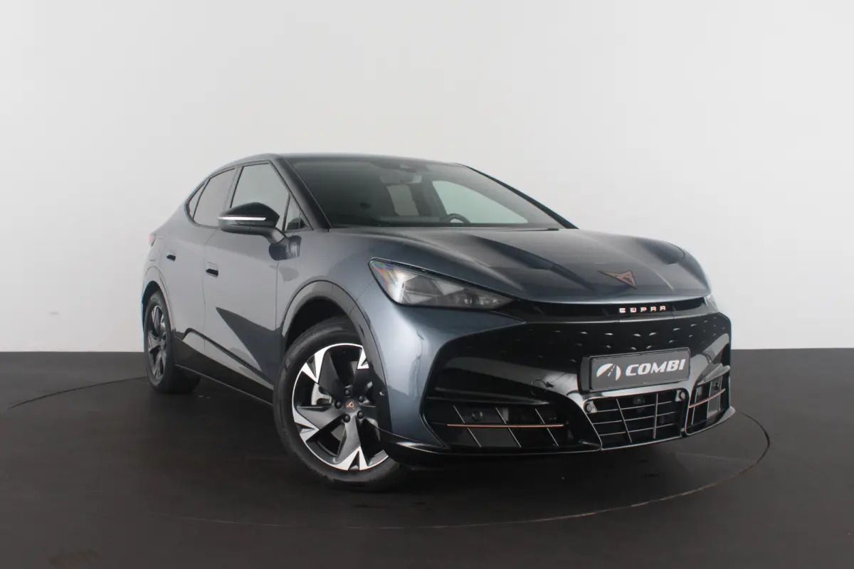 Business 82 kWh > 	569 WLTP/Travel Assist/Tavascan Blue