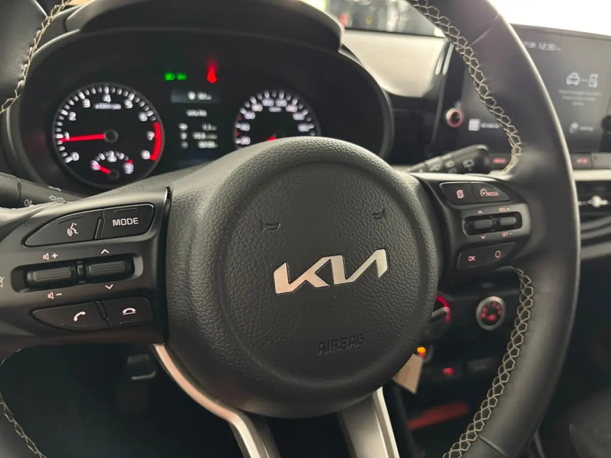 1.0 DPi DynamicLine | CARPLAY | VELGEN ✅ 1e Eigenaar