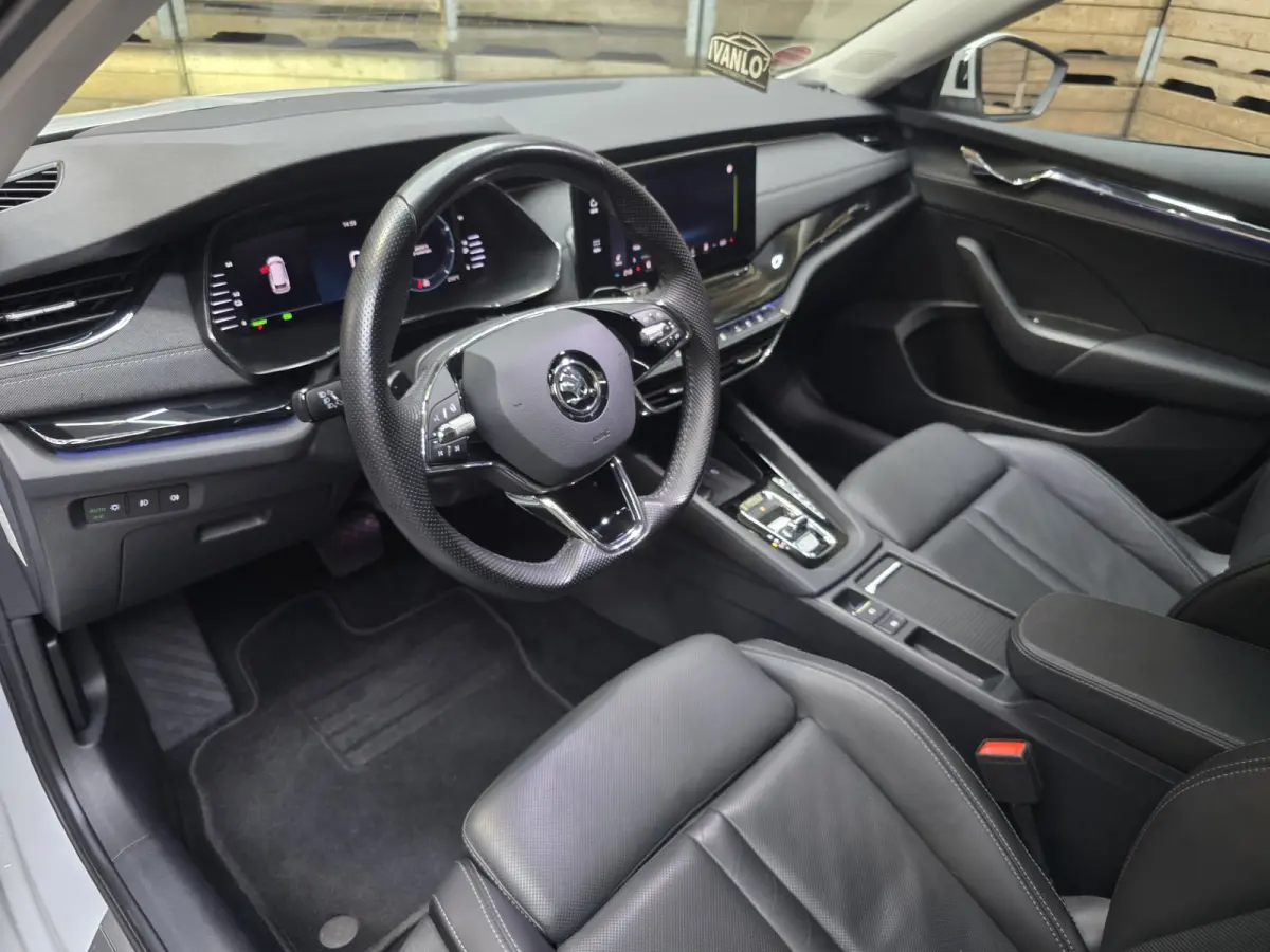 1.4 TSI iV PHEV Business Edition Plus Pano Leder Camera Navi 19"LM