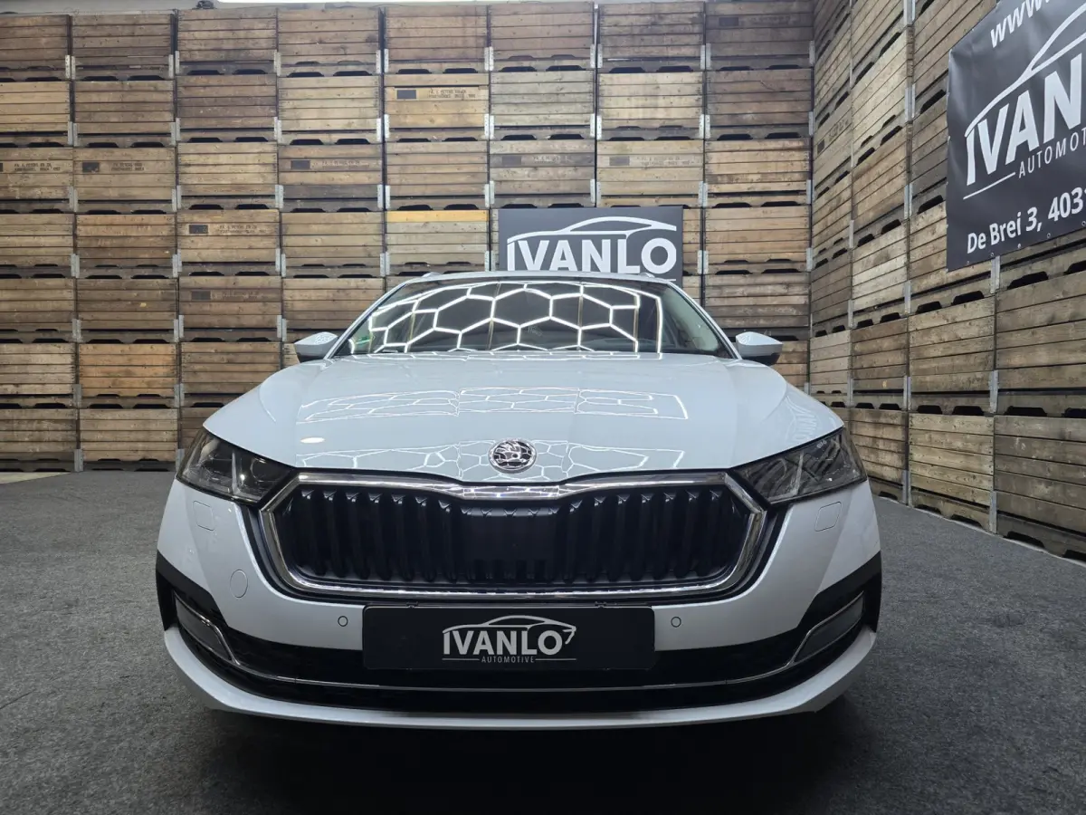 1.4 TSI iV PHEV Business Edition Plus Pano Leder Camera Navi 19"LM