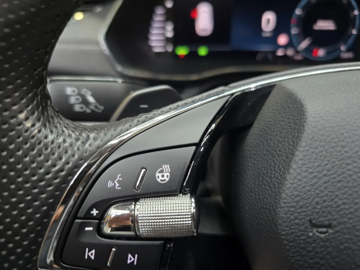 1.4 TSI iV PHEV Business Edition Plus Pano Leder Camera Navi 19"LM