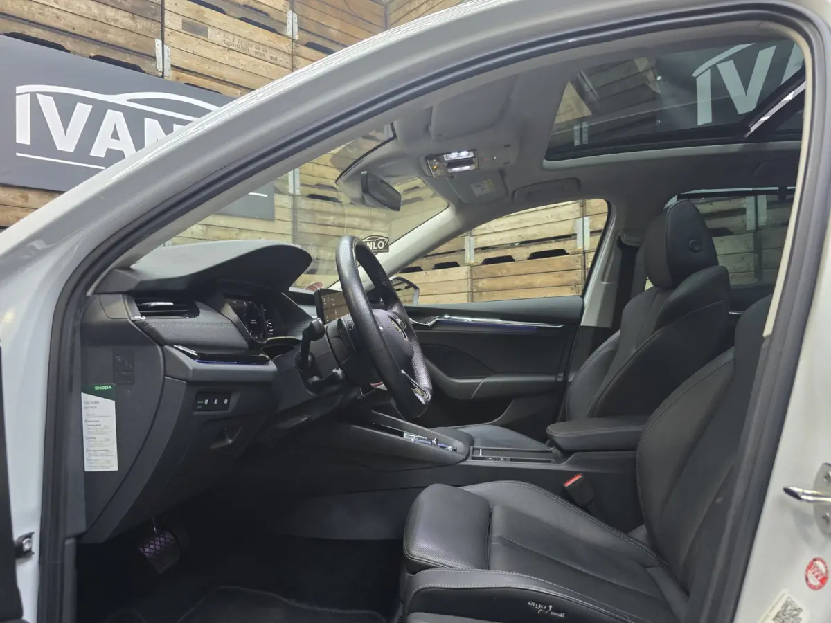 1.4 TSI iV PHEV Business Edition Plus Pano Leder Camera Navi 19"LM