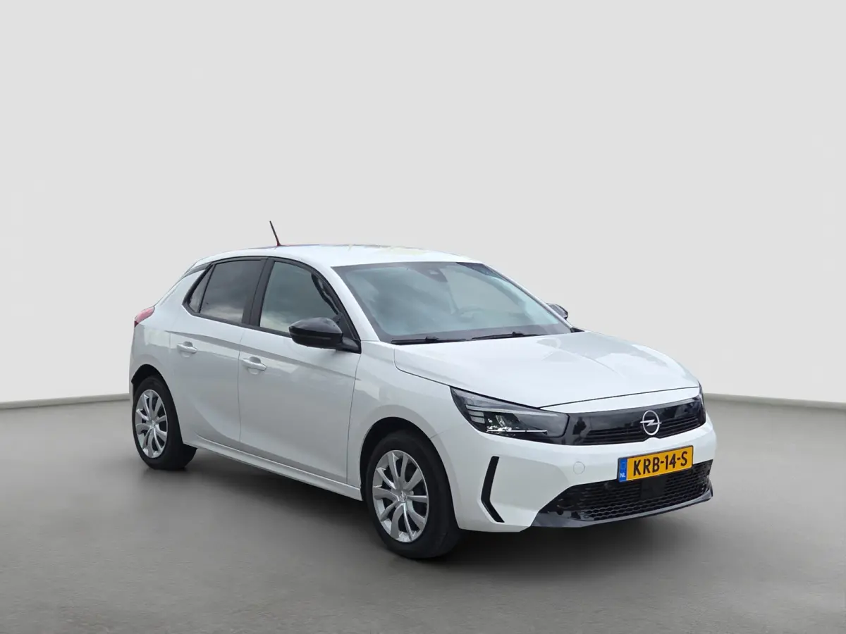 Electric Edition 50 kWh Parkeersensoren | LED | Carplay/android auto | Climate control | DAB |