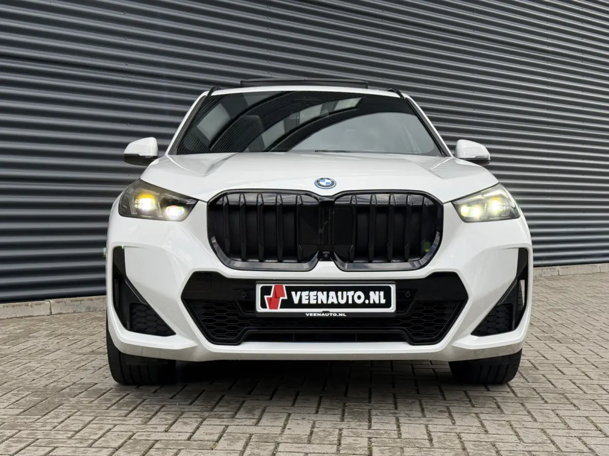 xDrive30e M-Sport Trekhaak/Pano/H&K/360cam