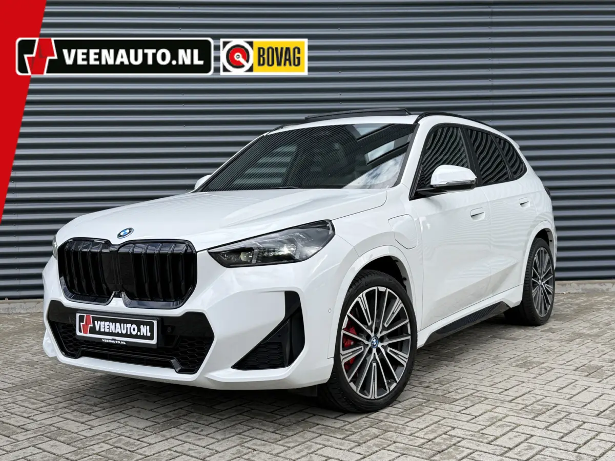 xDrive30e M-Sport Trekhaak/Pano/H&K/360cam