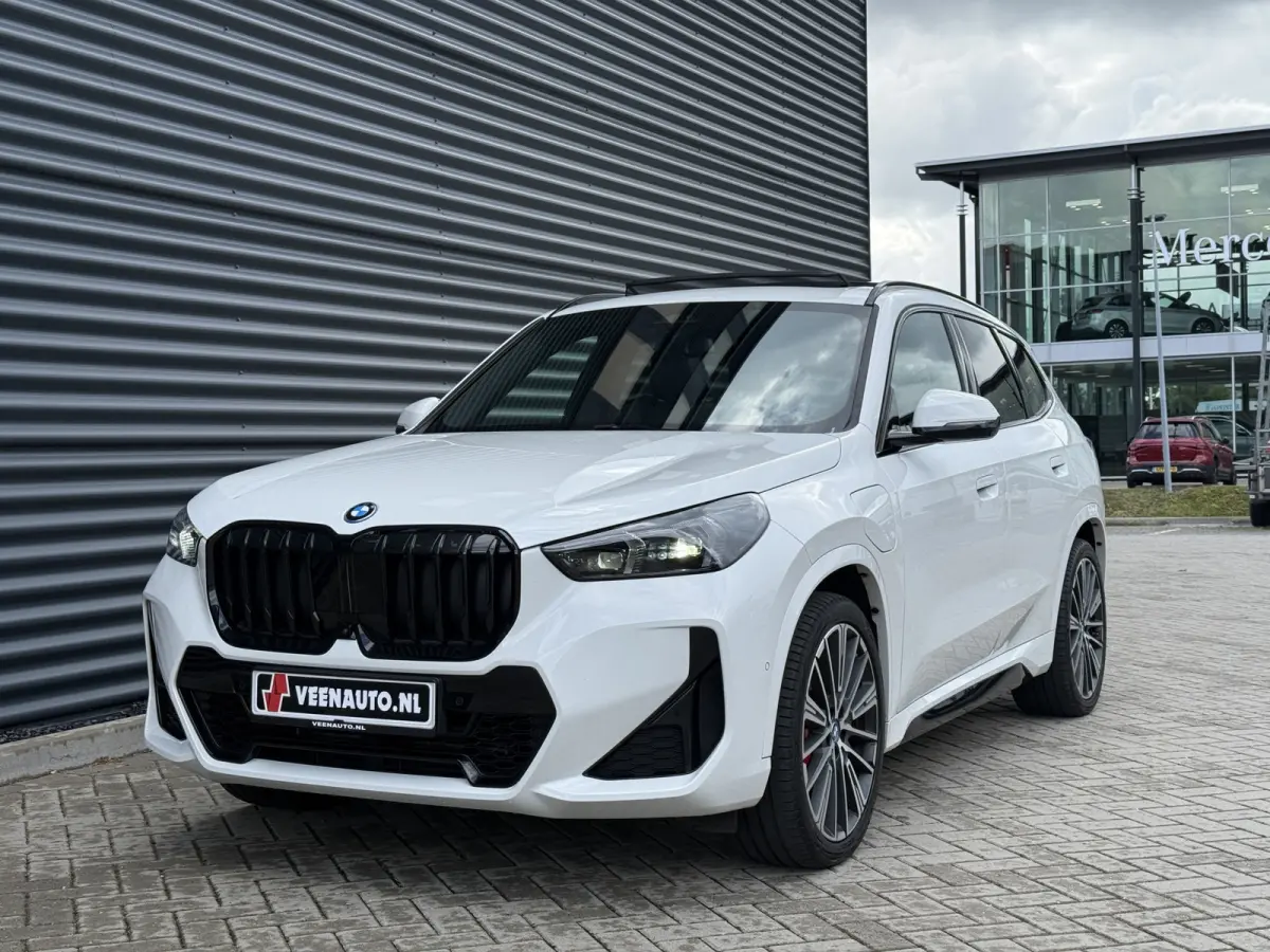 xDrive30e M-Sport Trekhaak/Pano/H&K/360cam