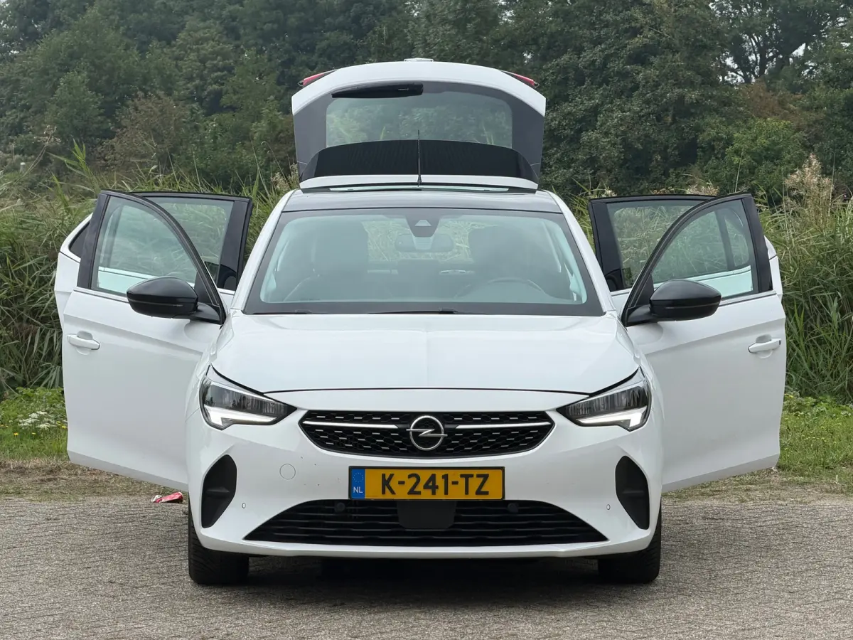 1.2 Elegance - Summit White - Panoramadak/Carplay/Led - Chique