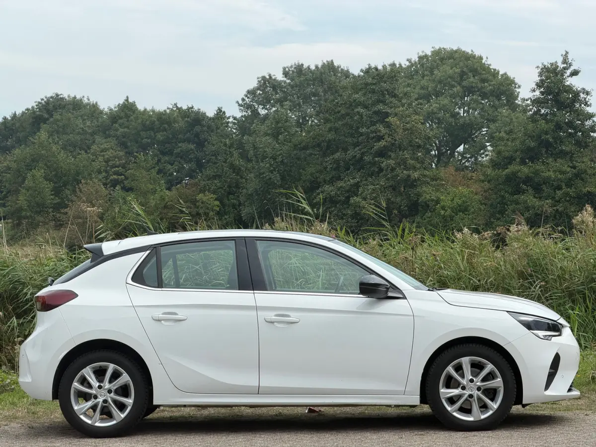 1.2 Elegance - Summit White - Panoramadak/Carplay/Led - Chique
