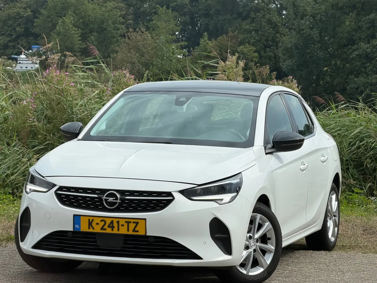 1.2 Elegance - Summit White - Panoramadak/Carplay/Led - Chique