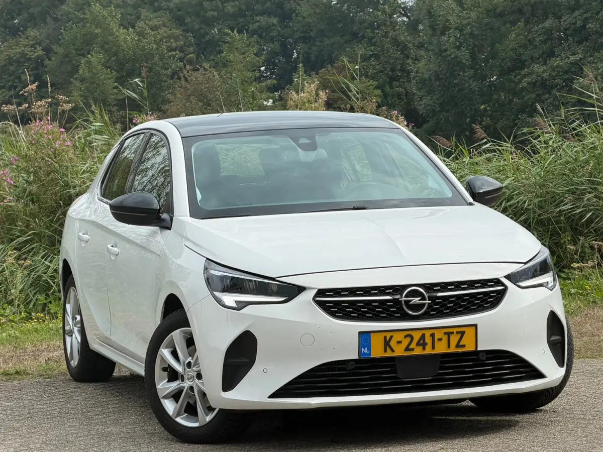 1.2 Elegance - Summit White - Panoramadak/Carplay/Led - Chique