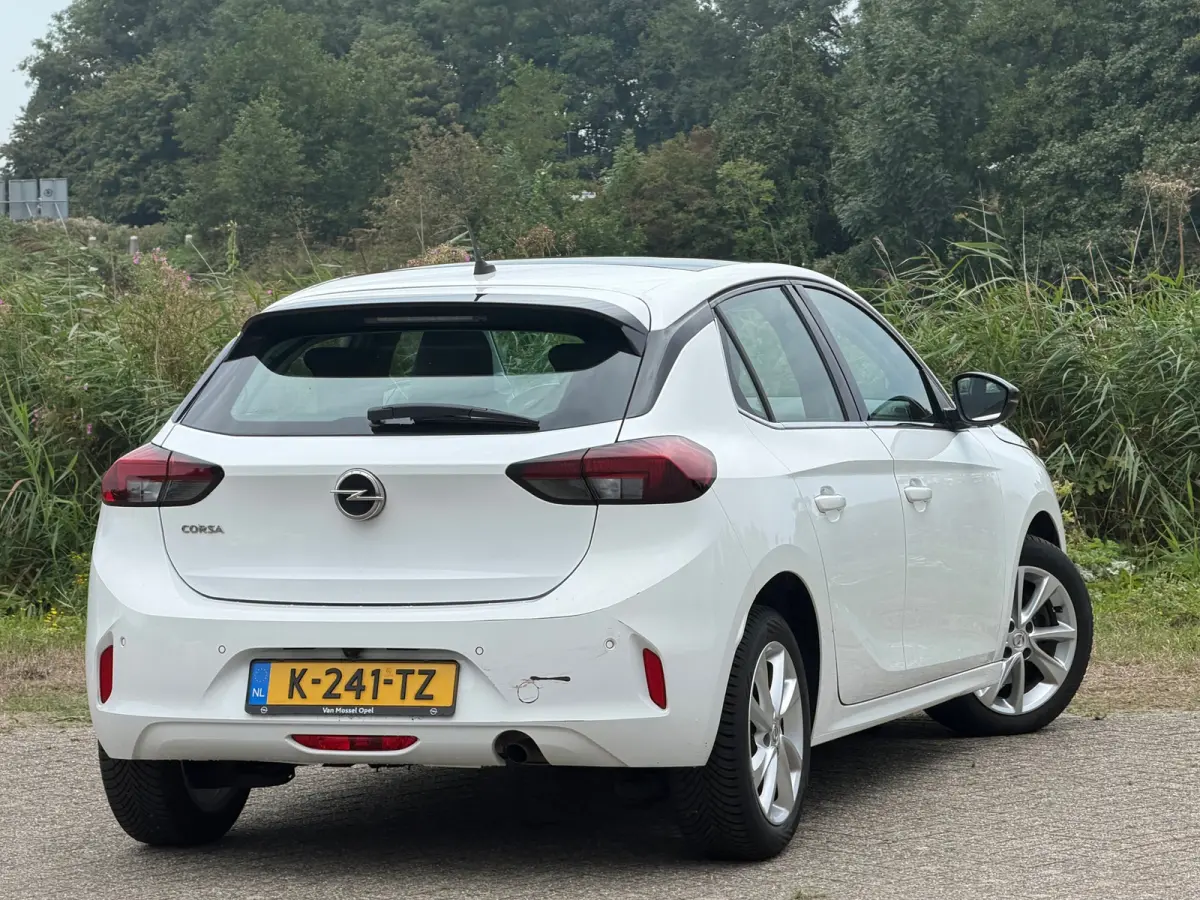 1.2 Elegance - Summit White - Panoramadak/Carplay/Led - Chique