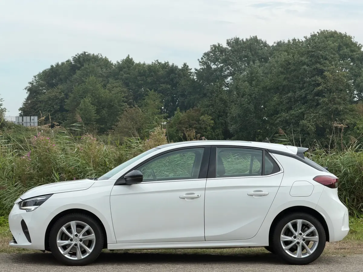 1.2 Elegance - Summit White - Panoramadak/Carplay/Led - Chique