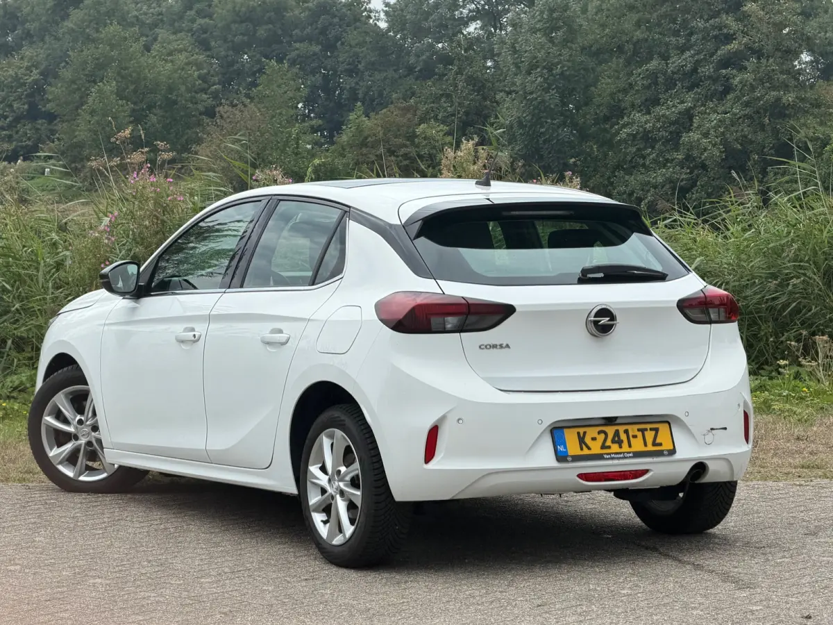 1.2 Elegance - Summit White - Panoramadak/Carplay/Led - Chique