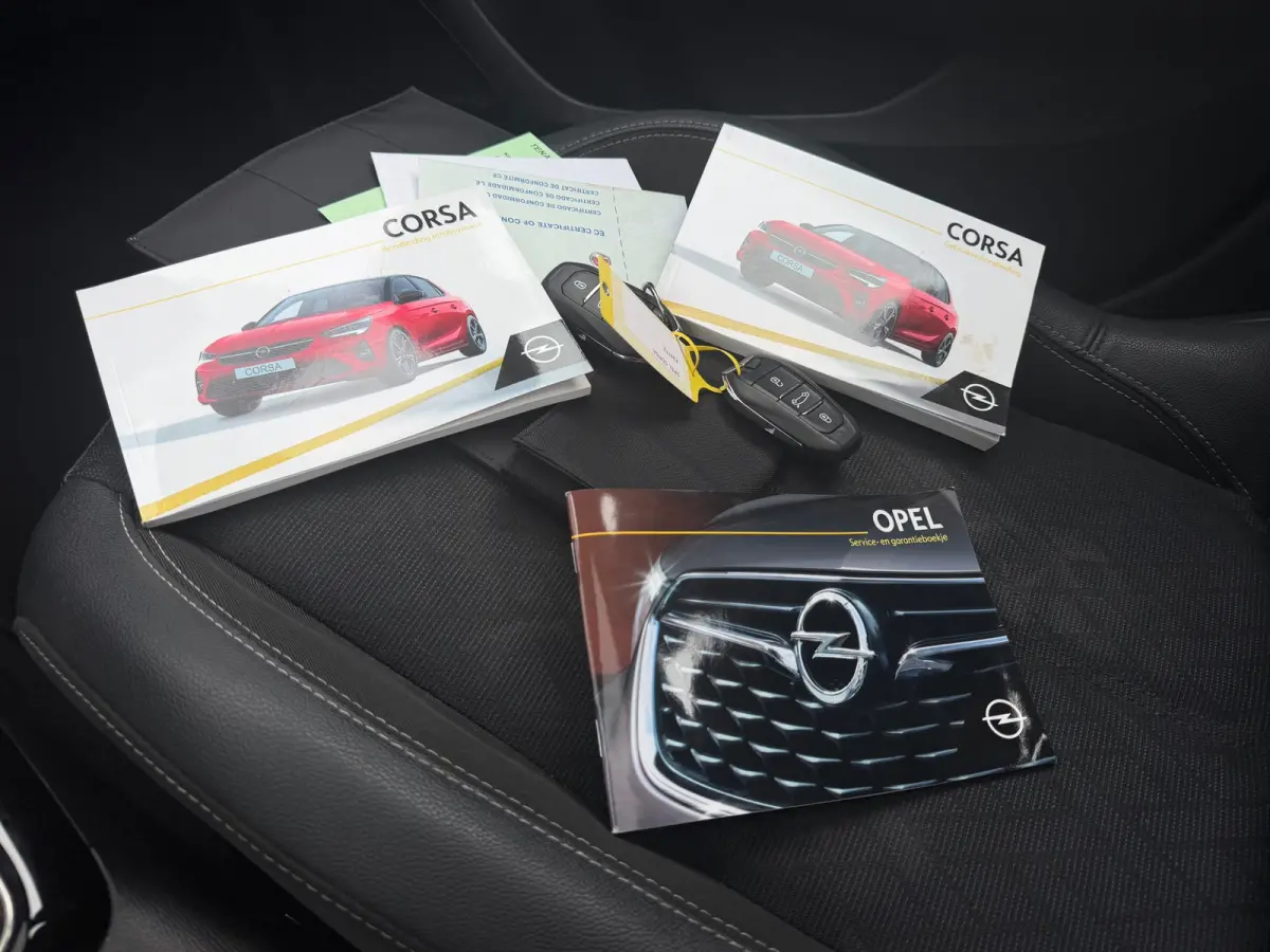 1.2 Elegance - Summit White - Panoramadak/Carplay/Led - Chique