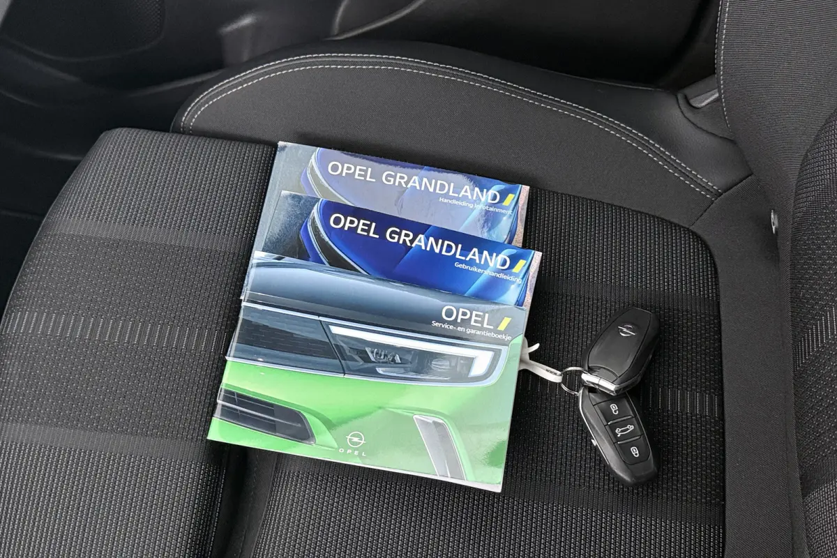 1.6 Turbo PHEV Business Half-Leder Afn.Trekhaak Camera