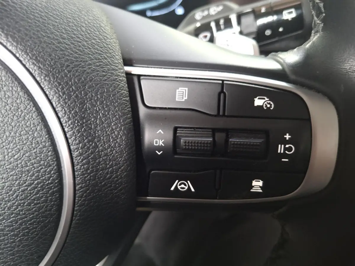 1.6 T-GDi Plug-in Hybrid AWD Dynamic Line 10 jaar fabrieksgarantie