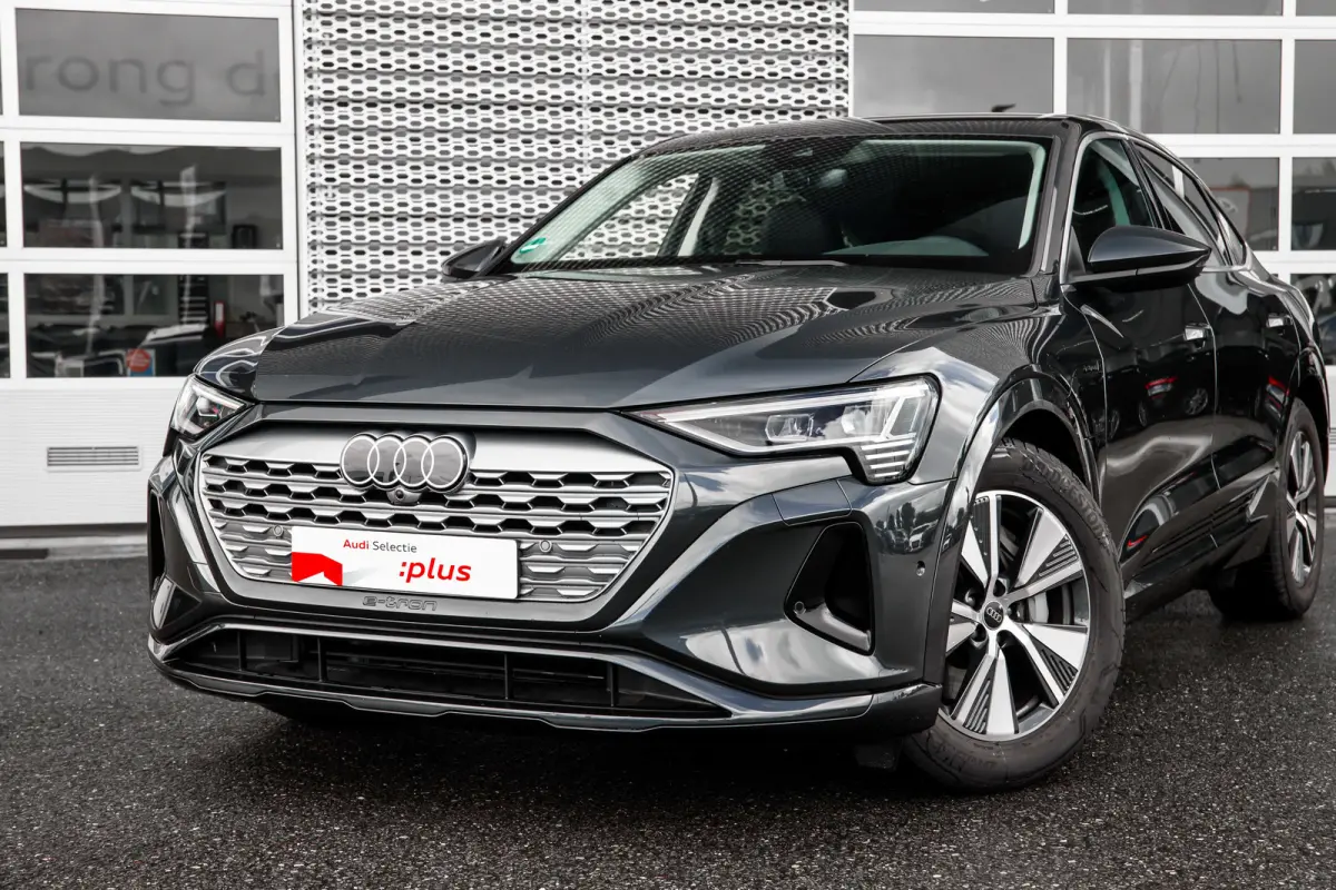 55 quattro Edition 115 kWh | Achteruitrijcamera | Bang & Olufsen | Stoelverwarming | | Achteruitrijcamera | Buitenspiegels elektr. met geheugen | Buitenspiegels elektrisch inklapbaar