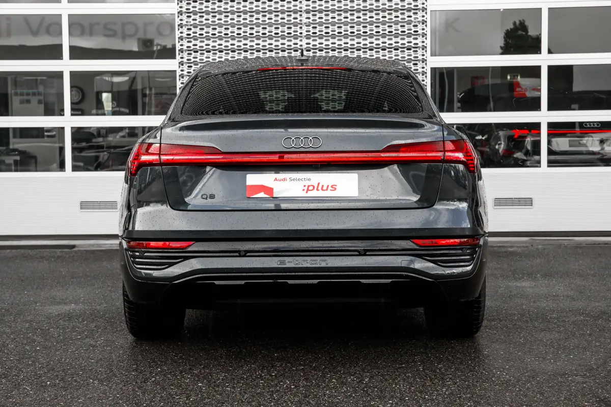 55 quattro Edition 115 kWh | Achteruitrijcamera | Bang & Olufsen | Stoelverwarming | | Achteruitrijcamera | Buitenspiegels elektr. met geheugen | Buitenspiegels elektrisch inklapbaar