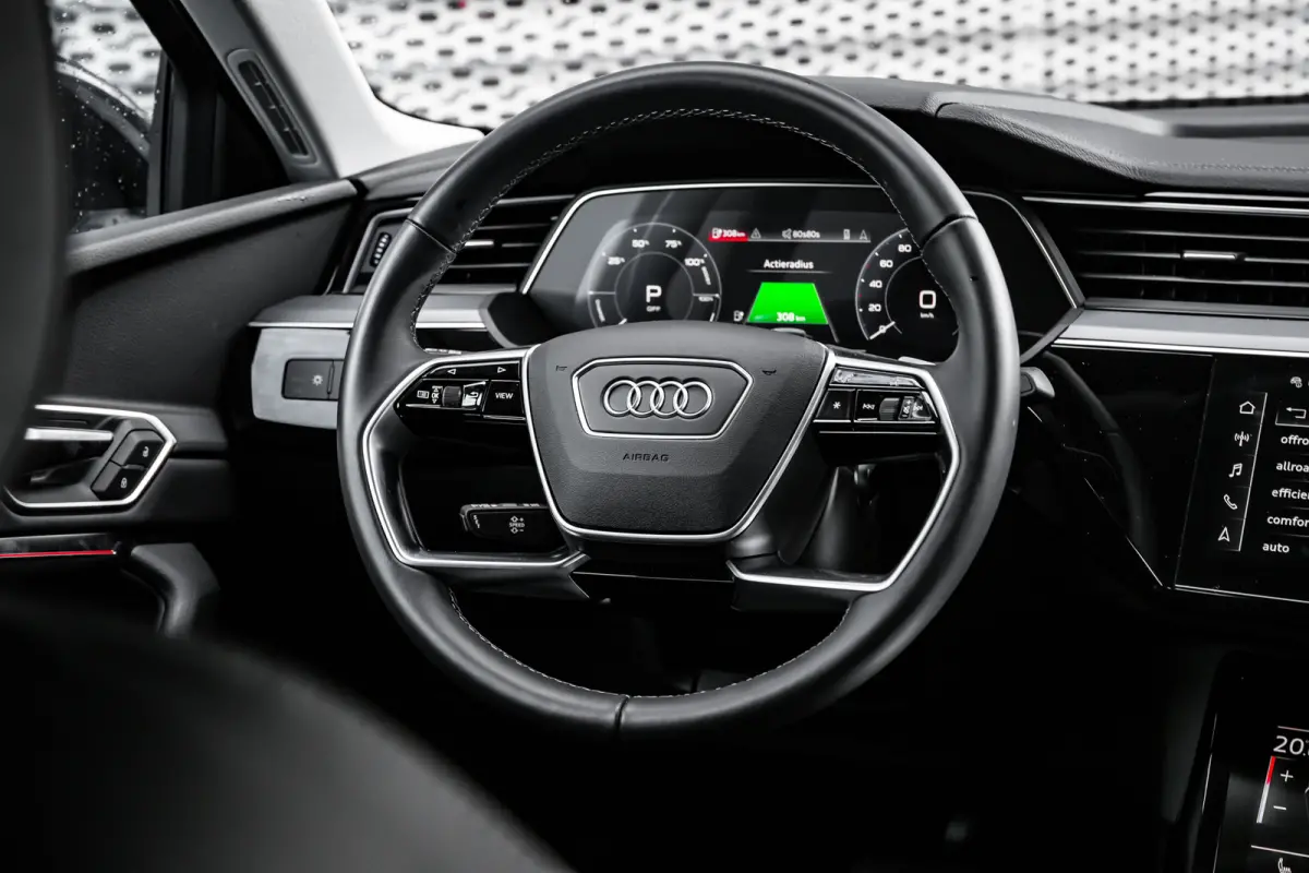 55 quattro Edition 115 kWh | Achteruitrijcamera | Bang & Olufsen | Stoelverwarming | | Achteruitrijcamera | Buitenspiegels elektr. met geheugen | Buitenspiegels elektrisch inklapbaar