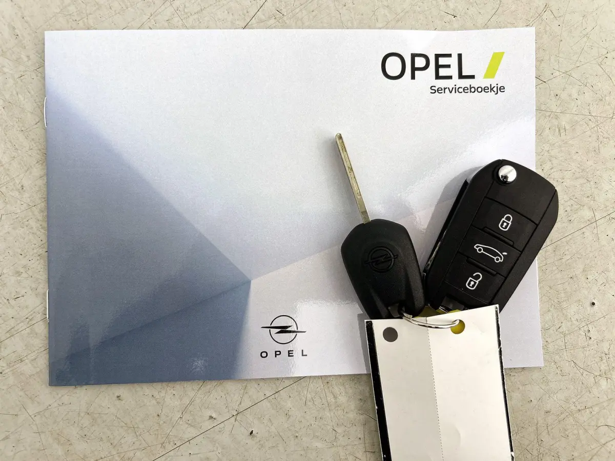 1.2 Turbo Hybrid Edition | 110pk | Apple Carplay/Android Auto | Camera | 4.000km! |