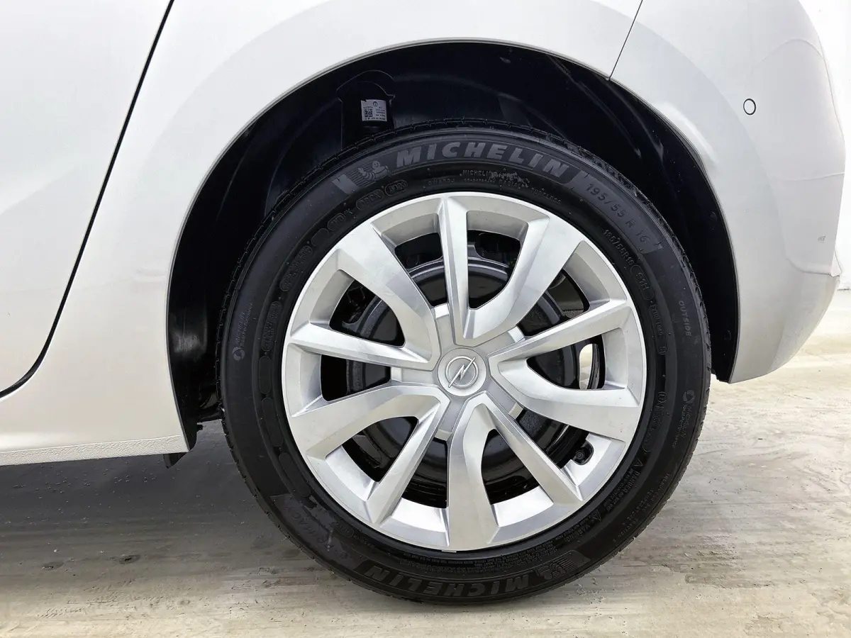 1.2 Turbo Hybrid Edition | 110pk | Apple Carplay/Android Auto | Camera | 4.000km! |