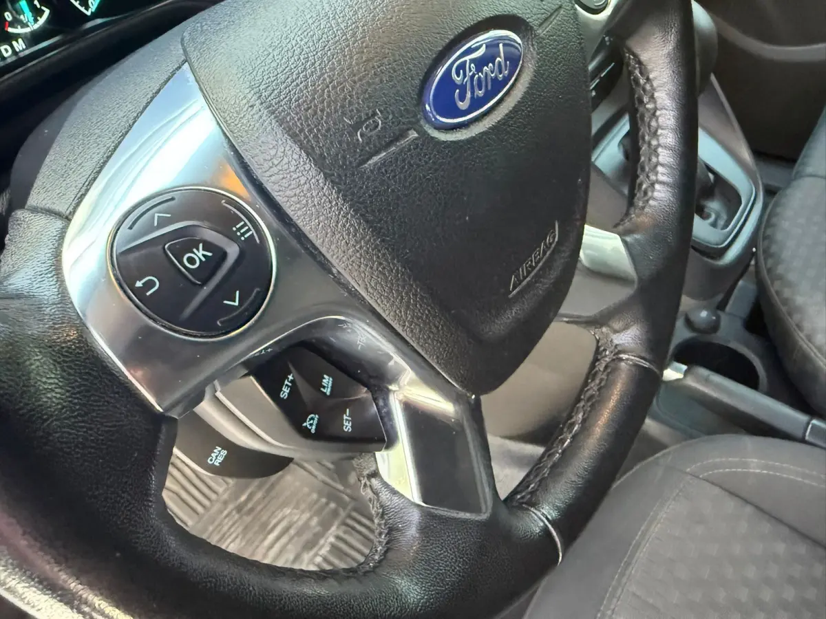1.5 EcoBlue L2 Trend | AUTOMAAT | CRUISE CONTROL | L2!!! | 3 ZITTER